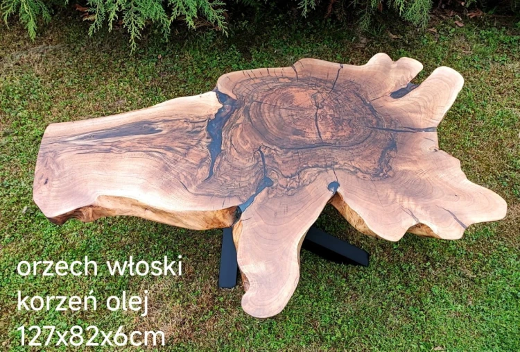 stolik kawowy z korzenia orzecha włoskiego olejowany