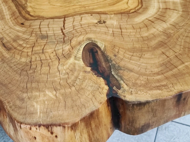 naturalne przerosty kory w plastrze z topoli zalane w żywicy