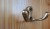 przedpokój, wieszaki stare złoto, drewno modrzew lakierowany
