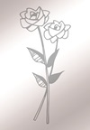 R072