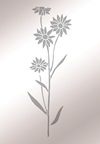 R121