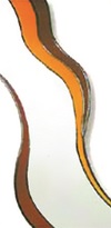 W53